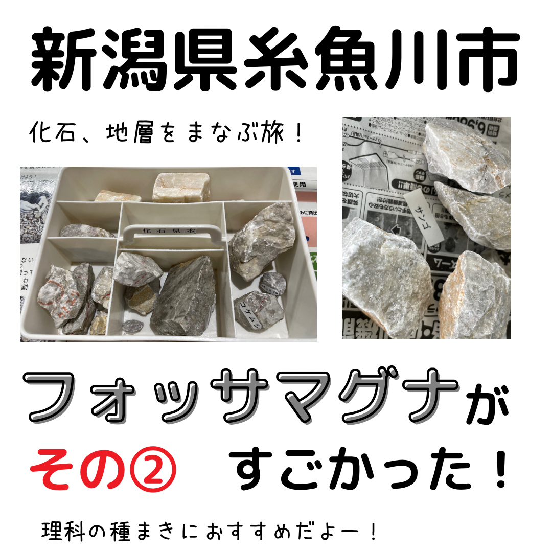 子連れで化石堀り 糸魚川フォッサマグナ【レビュー】②｜中学受験理科