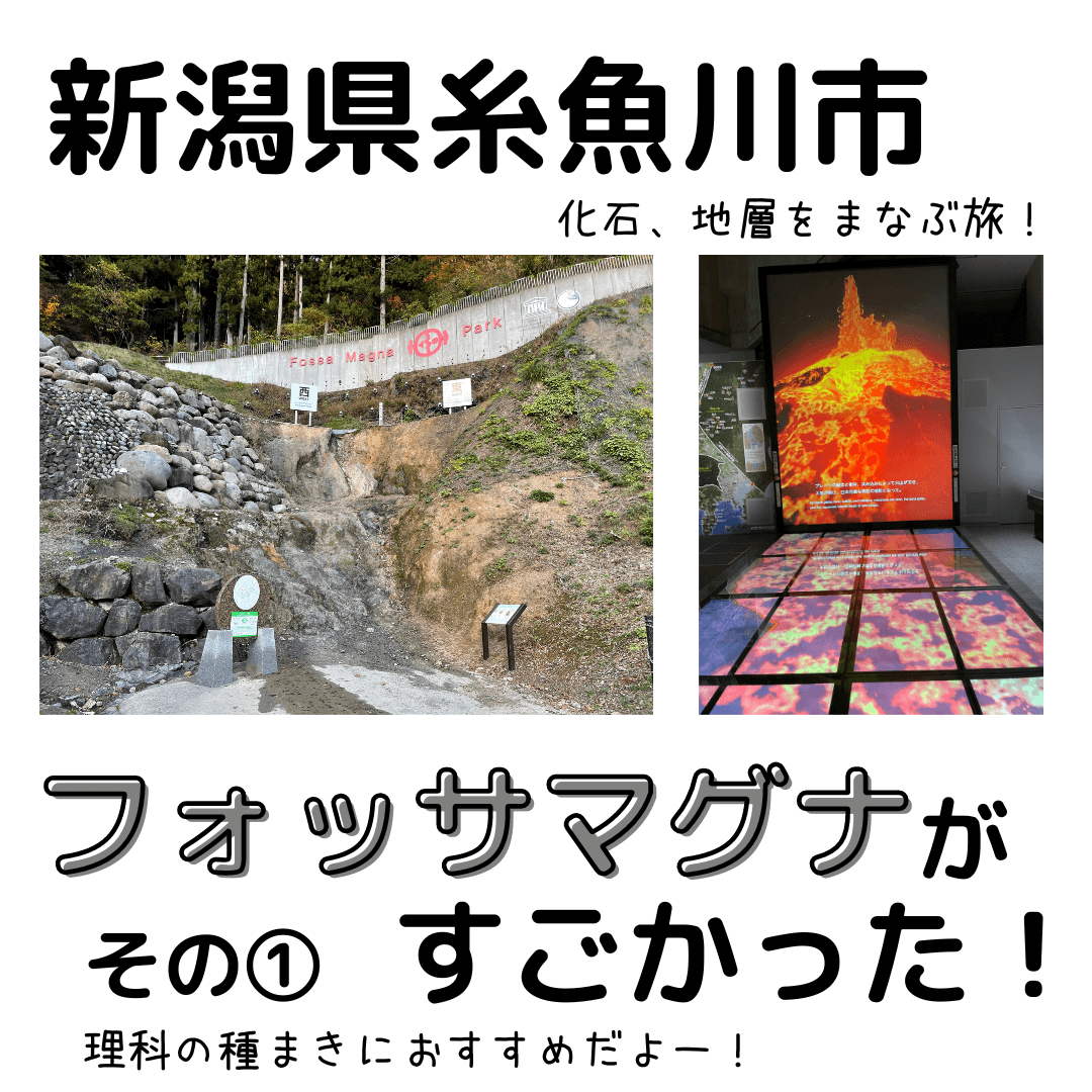 子連れで化石堀り 糸魚川フォッサマグナ【レビュー】①｜中学受験理科