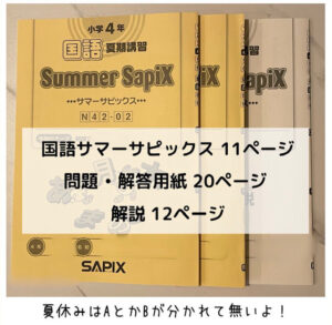 サピックス(SAPIX)夏期講習4年プリント量・内容は？｜国語
