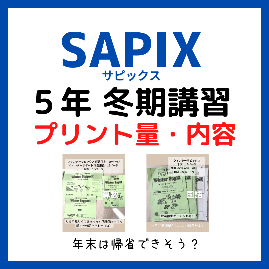 サピックス5年生冬期講習｜内容・プリント量・スケジュール - kirin の 